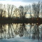 Karlsfelder See im Herbst