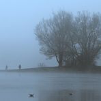 Karlsfelder See im Nebel ...