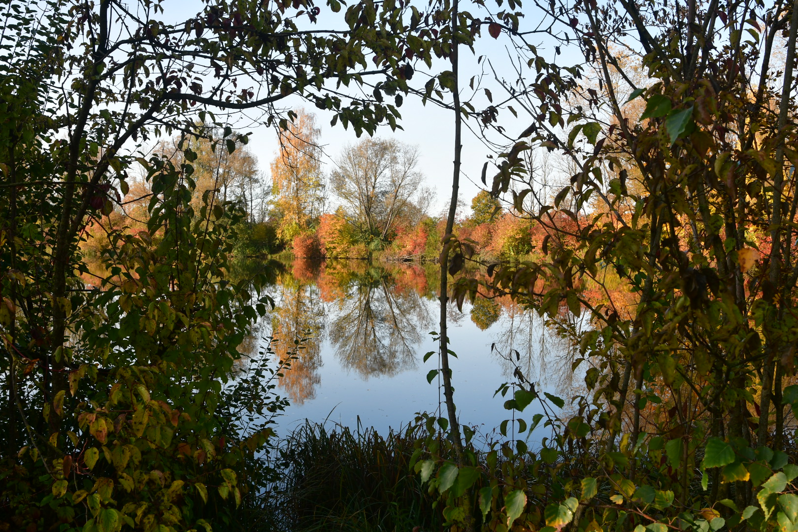 Karlsfelder See  in Herbst  