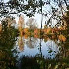 Karlsfelder See  in Herbst  