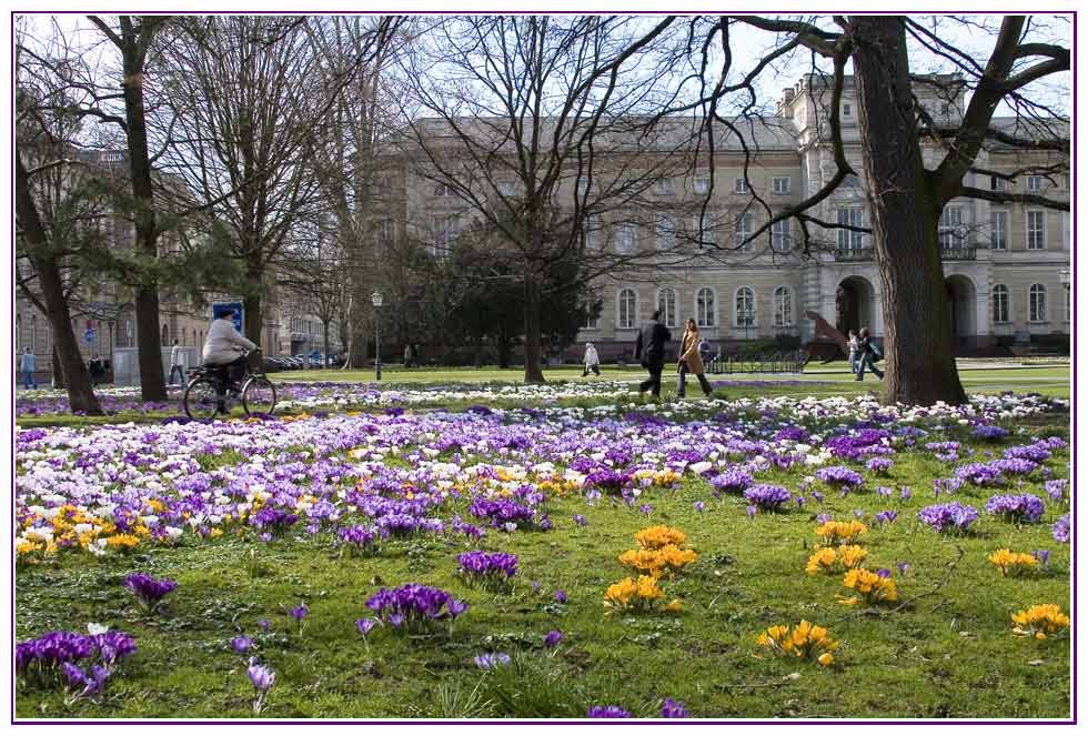 Karlsruhe, Friedrichsplatz