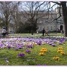 Karlsruhe, Friedrichsplatz