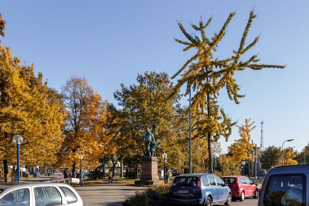 Karlsruhe im Herbst