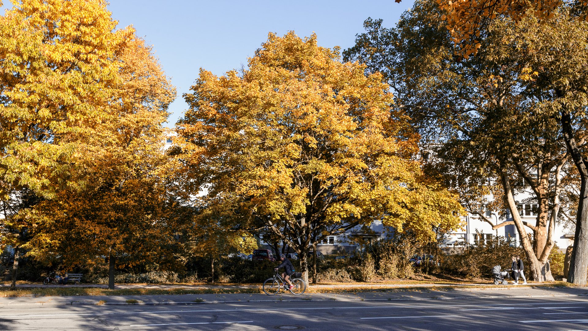 Karlsruhe im Herbst