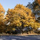 Karlsruhe im Herbst