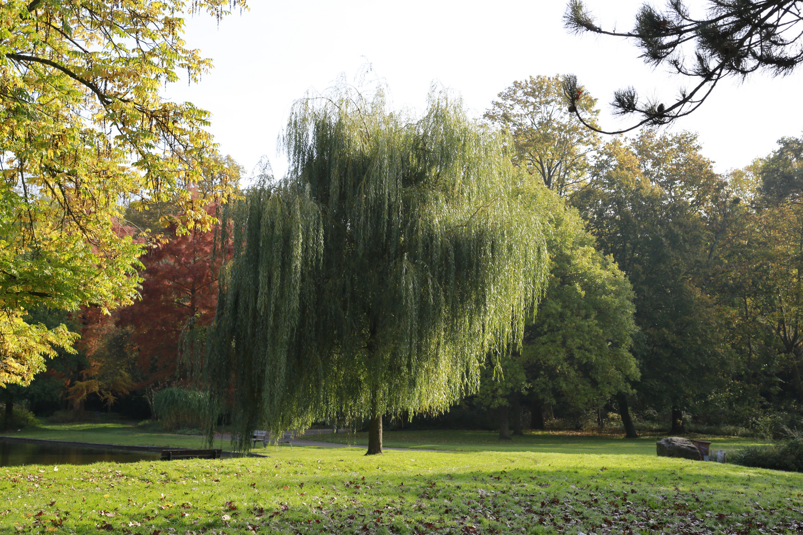 Karlsruhe Schlossgarten (II)