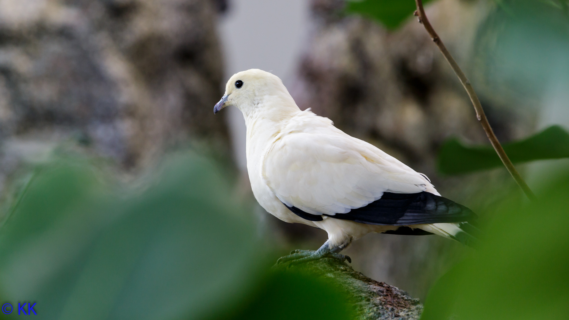 Karlsruhe Zoo