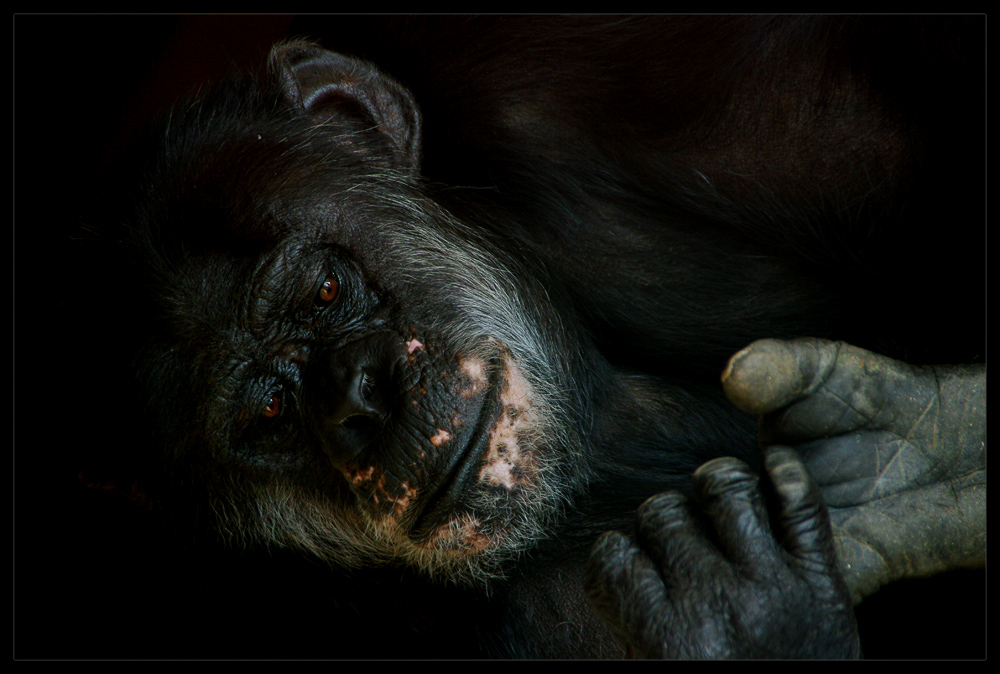 Karlsruhe Zoo: #1