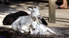 Karlsruhe Zoo