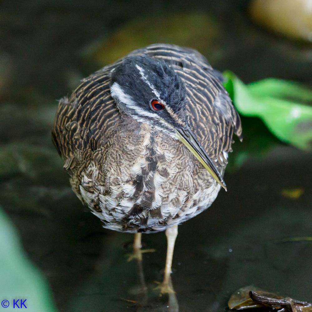 Karlsruhe Zoo