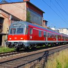 Karlsruher Kopf mit Ruine der Salacher Papierfabrik