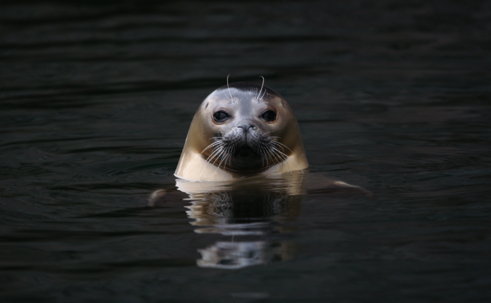 Karlsruher Zoo