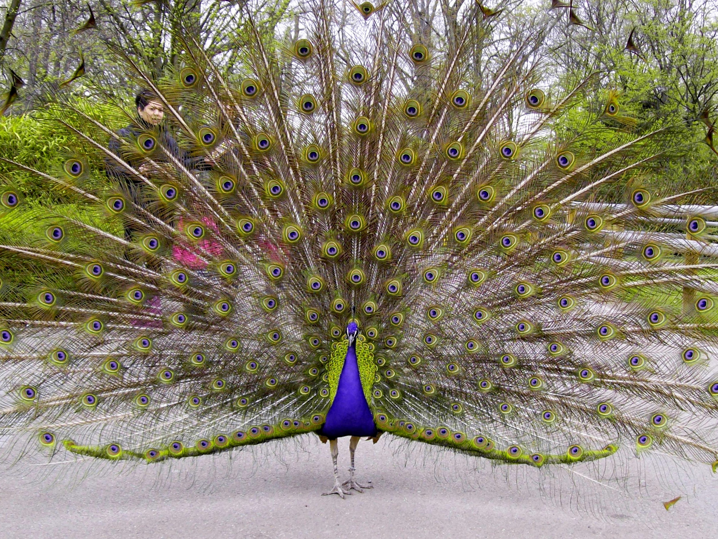 Karlsruher Zoo 