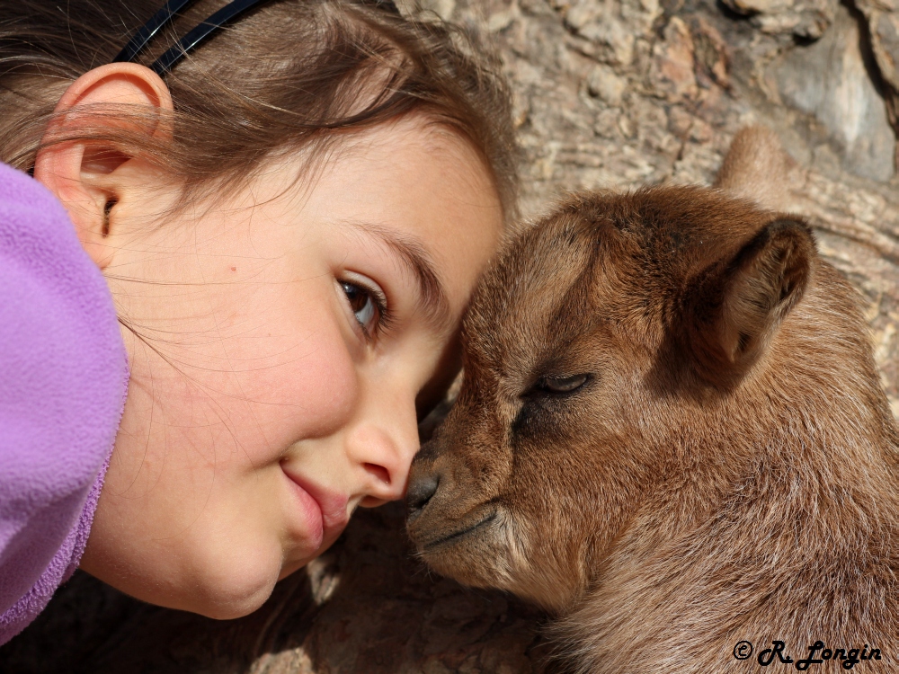 Karlsruher Zoo: Nase an Nase