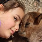 Karlsruher Zoo: Nase an Nase