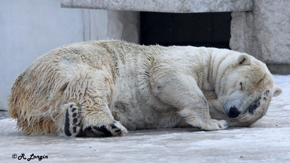 Karlsruher Zoo: "Seid bitte nicht zu laut!"