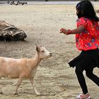 Karlsruher Zoo: "So geht die Samba!" ...