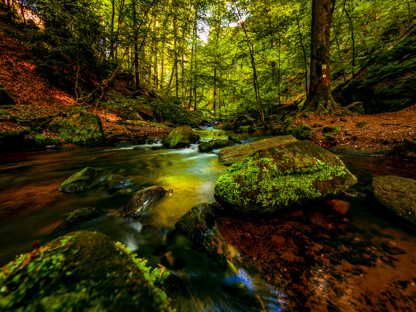 Karlsschlucht. Pfalz