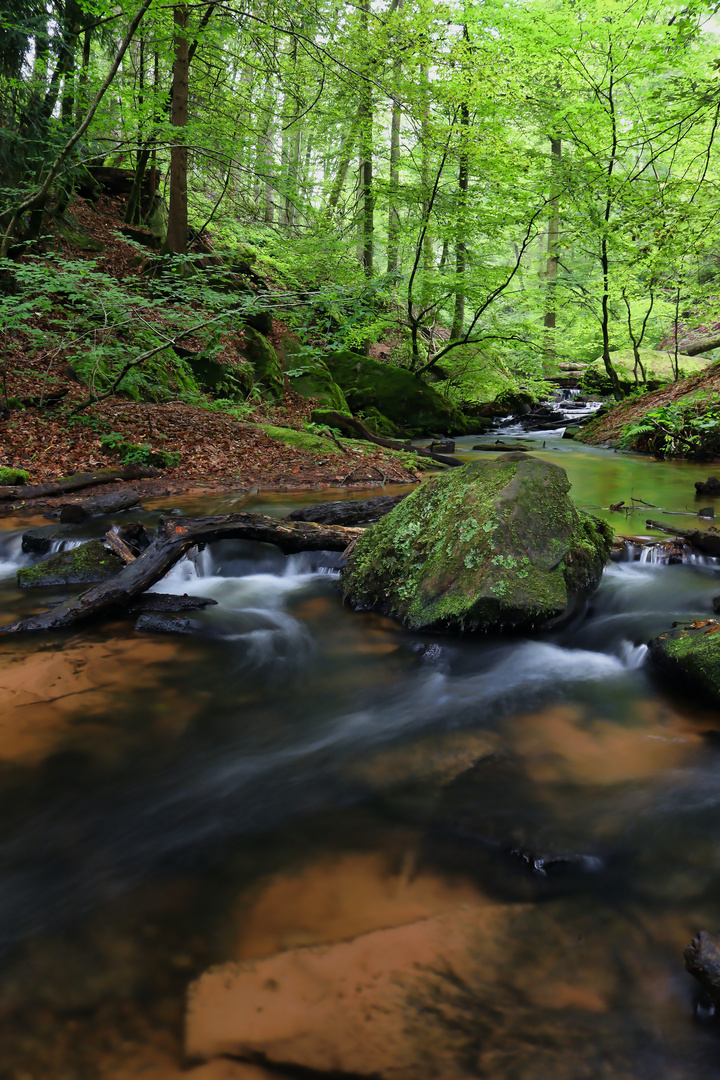 Karlstal bei Trippstadt