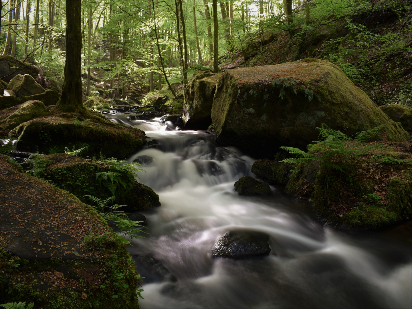 Karlstal bei Trippstadt im Pfälzerwald