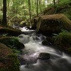 Karlstal bei Trippstadt im Pfälzerwald