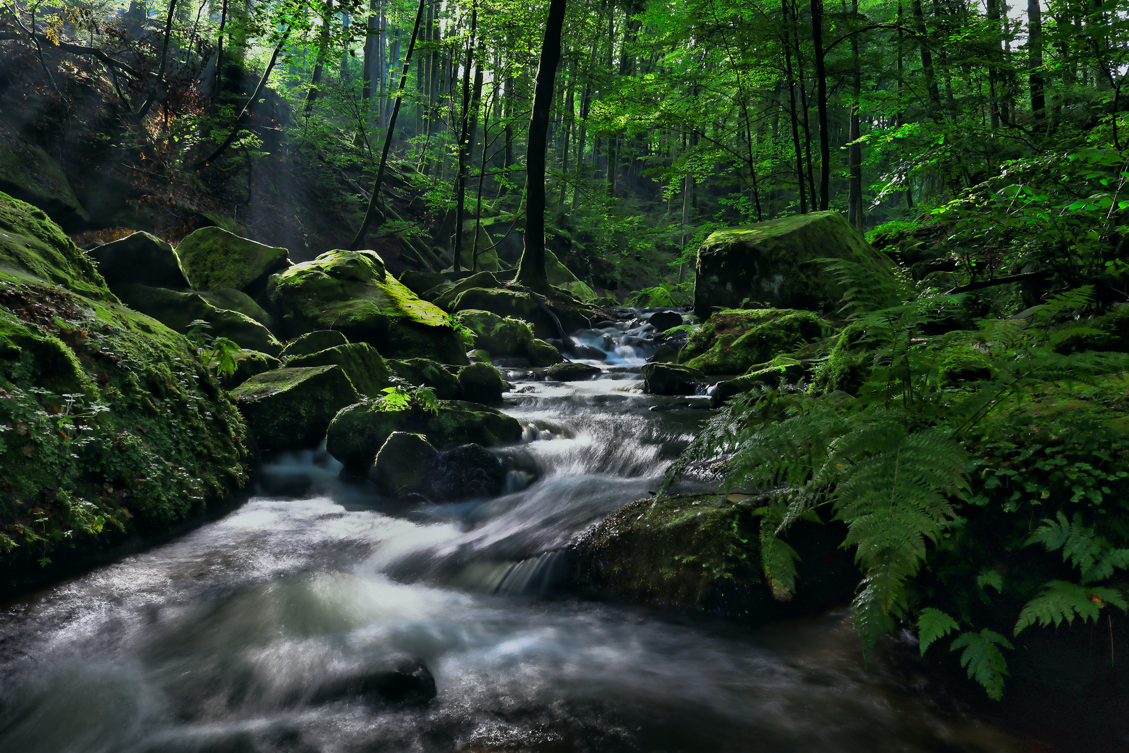 Karlstal in der morgenstunde