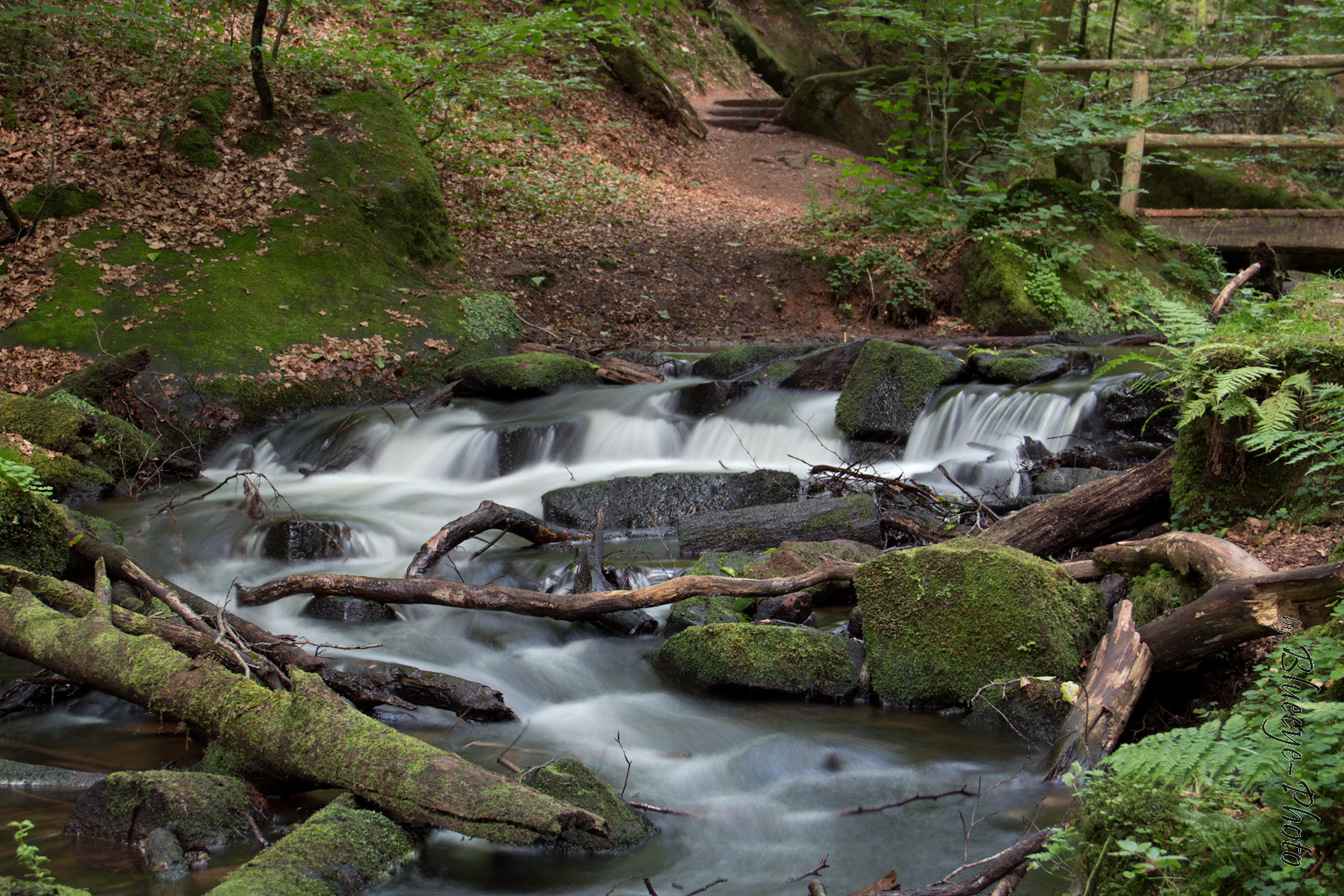 Karlstal in der schönen Pfalz