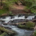 Karlstal in der schönen Pfalz