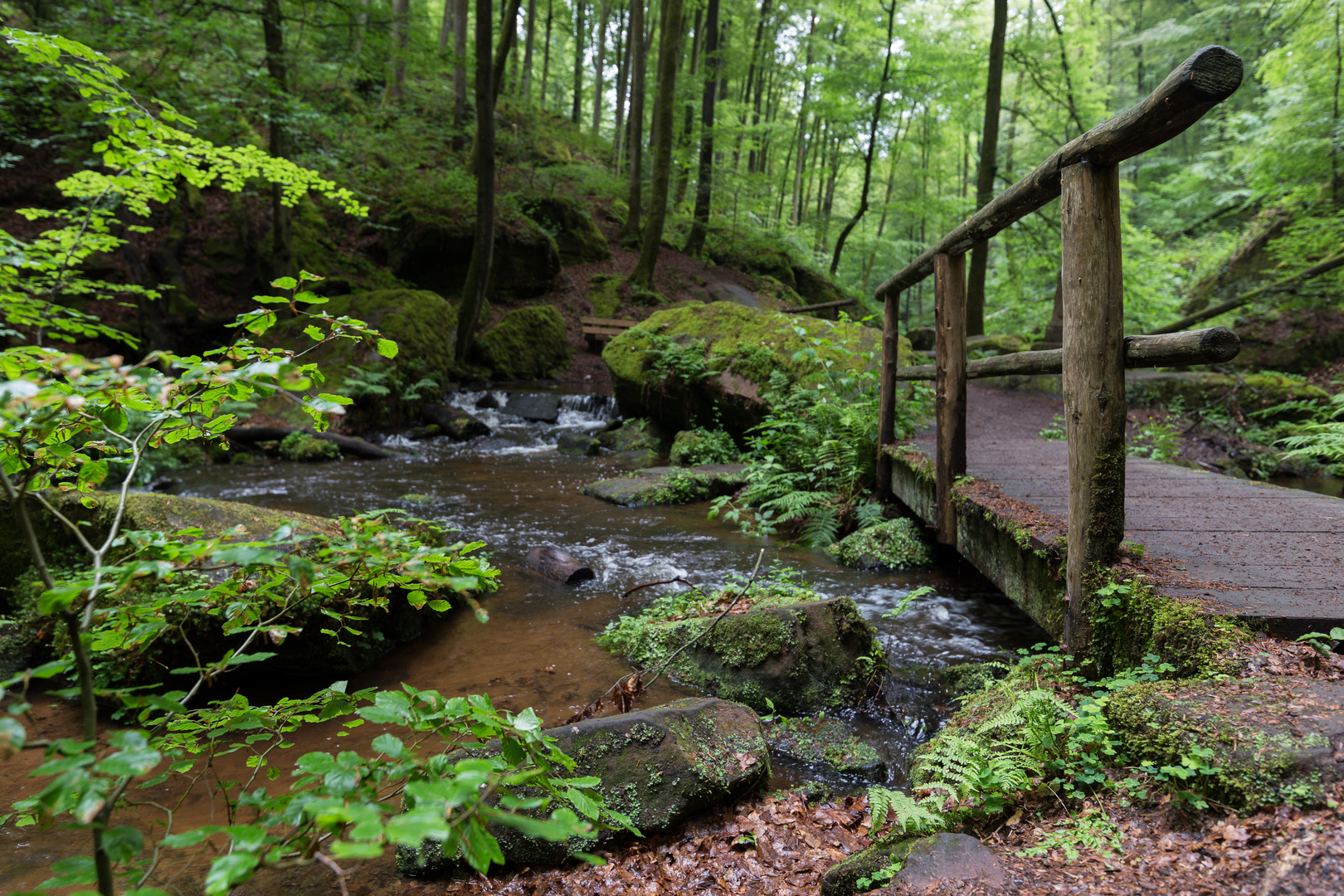 Karlstal Schlucht - Wanderpfad