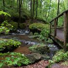 Karlstal Schlucht - Wanderpfad