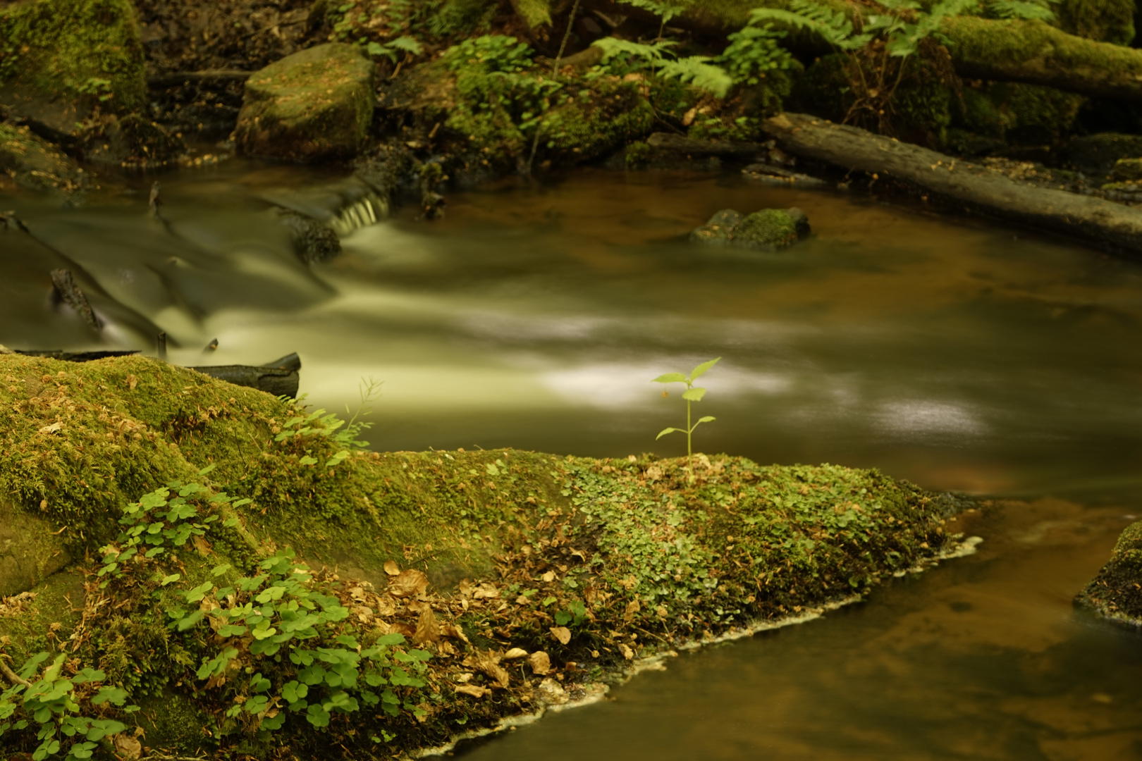 Karlstalschlucht