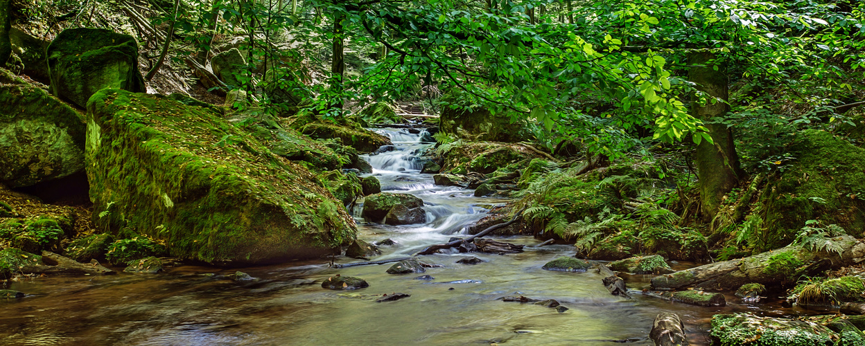 Karlstalschlucht