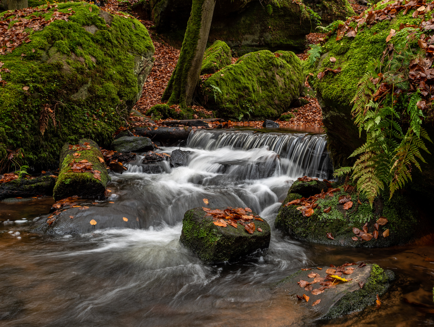 Karlstalschlucht 