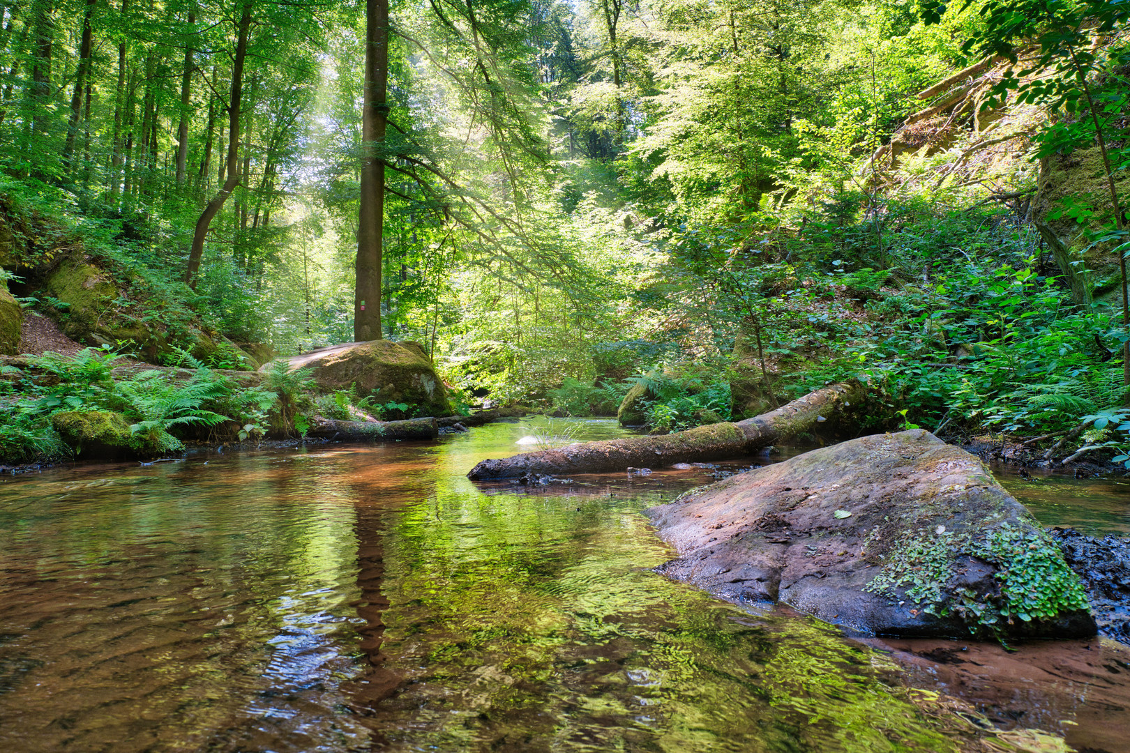 Karlstalschlucht 