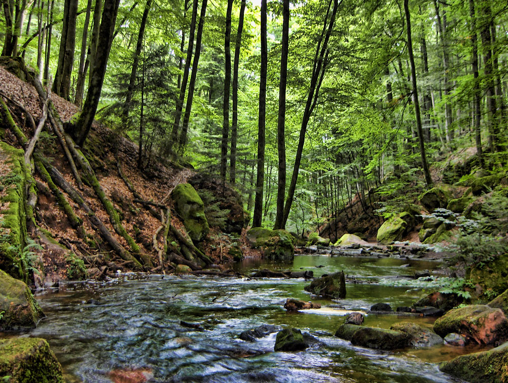 Karlstalschlucht