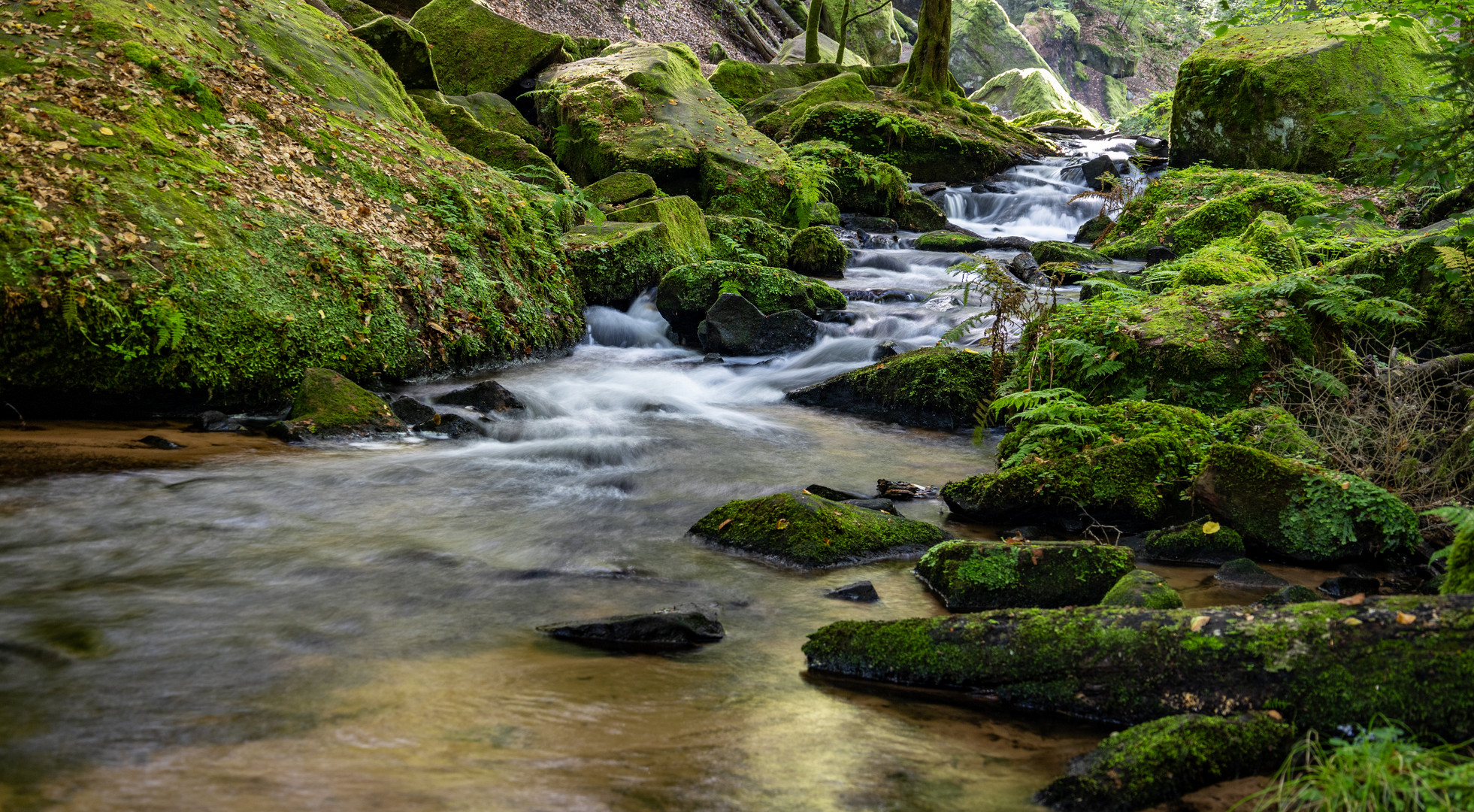 Karlstalschlucht bei Kaiserslautern