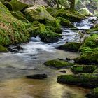 Karlstalschlucht bei Kaiserslautern