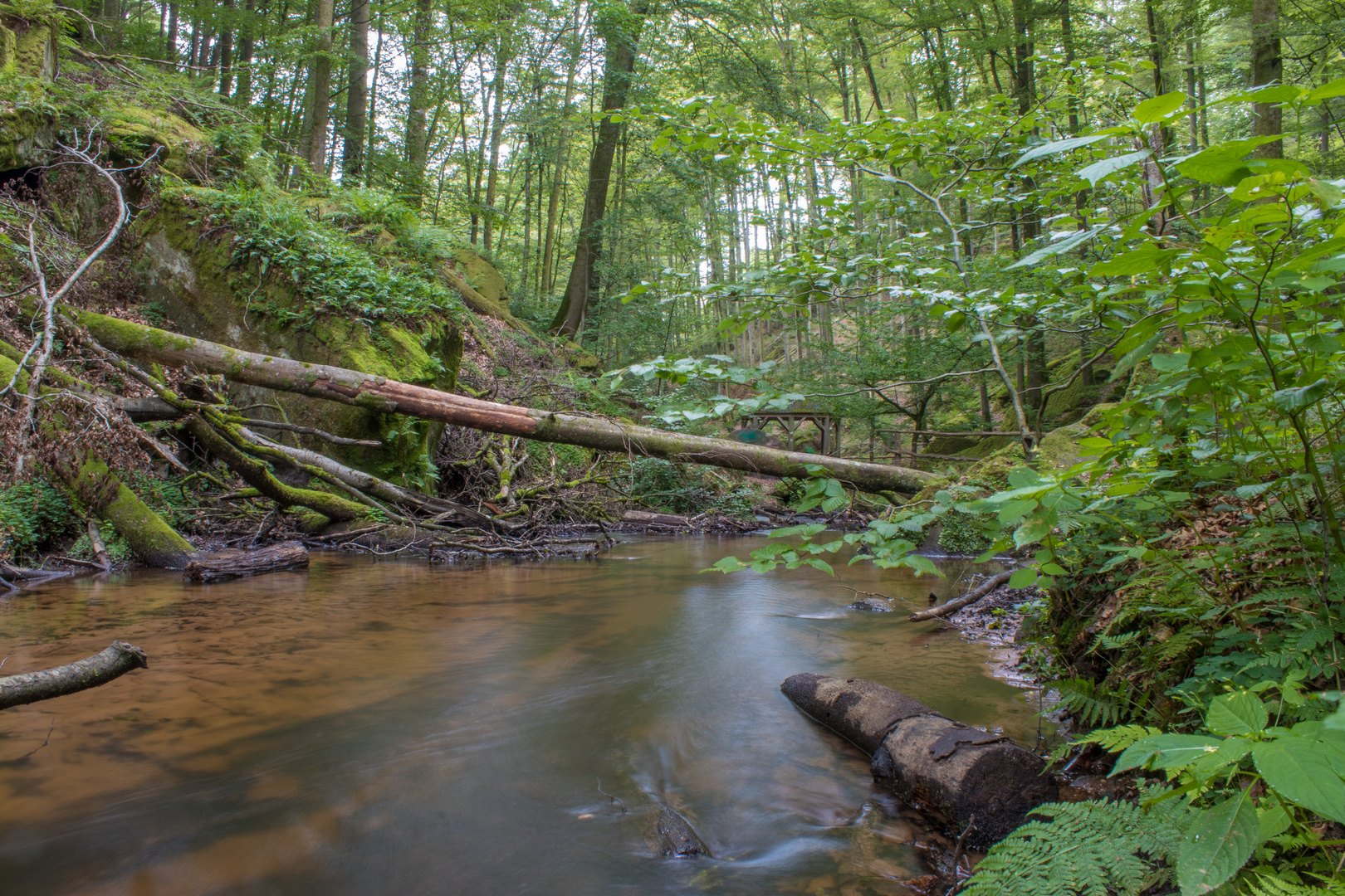 Karlstalschlucht bei Trippstadt