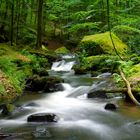 Karlstalschlucht bei Trippstadt