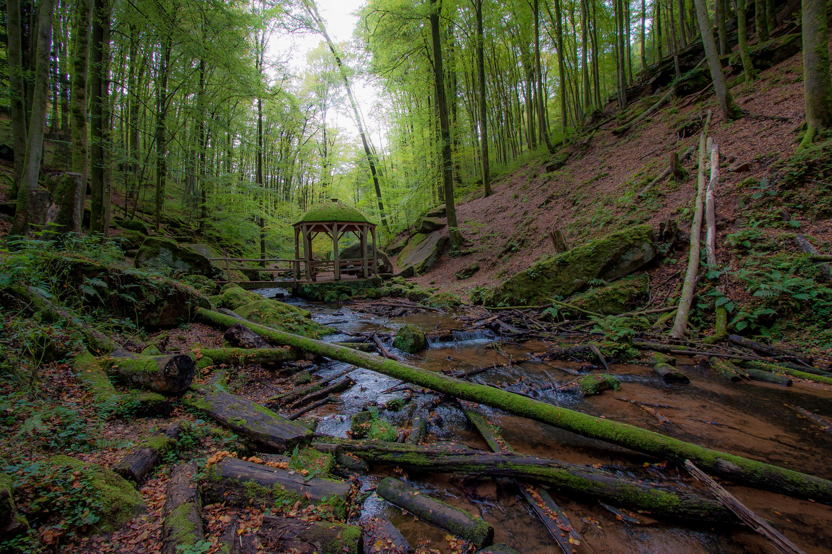 Karlstalschlucht 