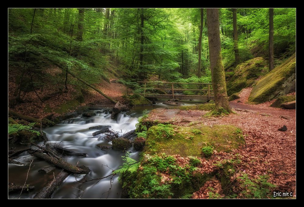 Karlstalschlucht I