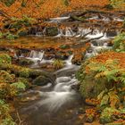 Karlstalschlucht im Herbst