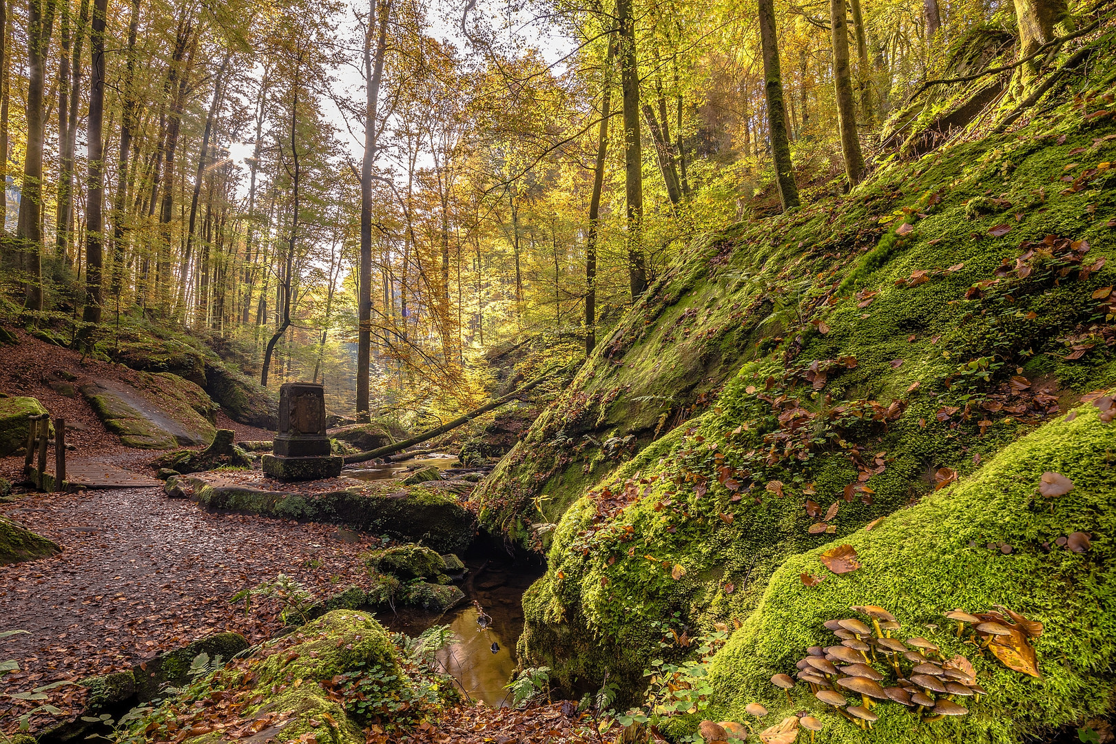 Karlstalschlucht im Herbst