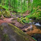 Karlstalschlucht | Pfälzerwald