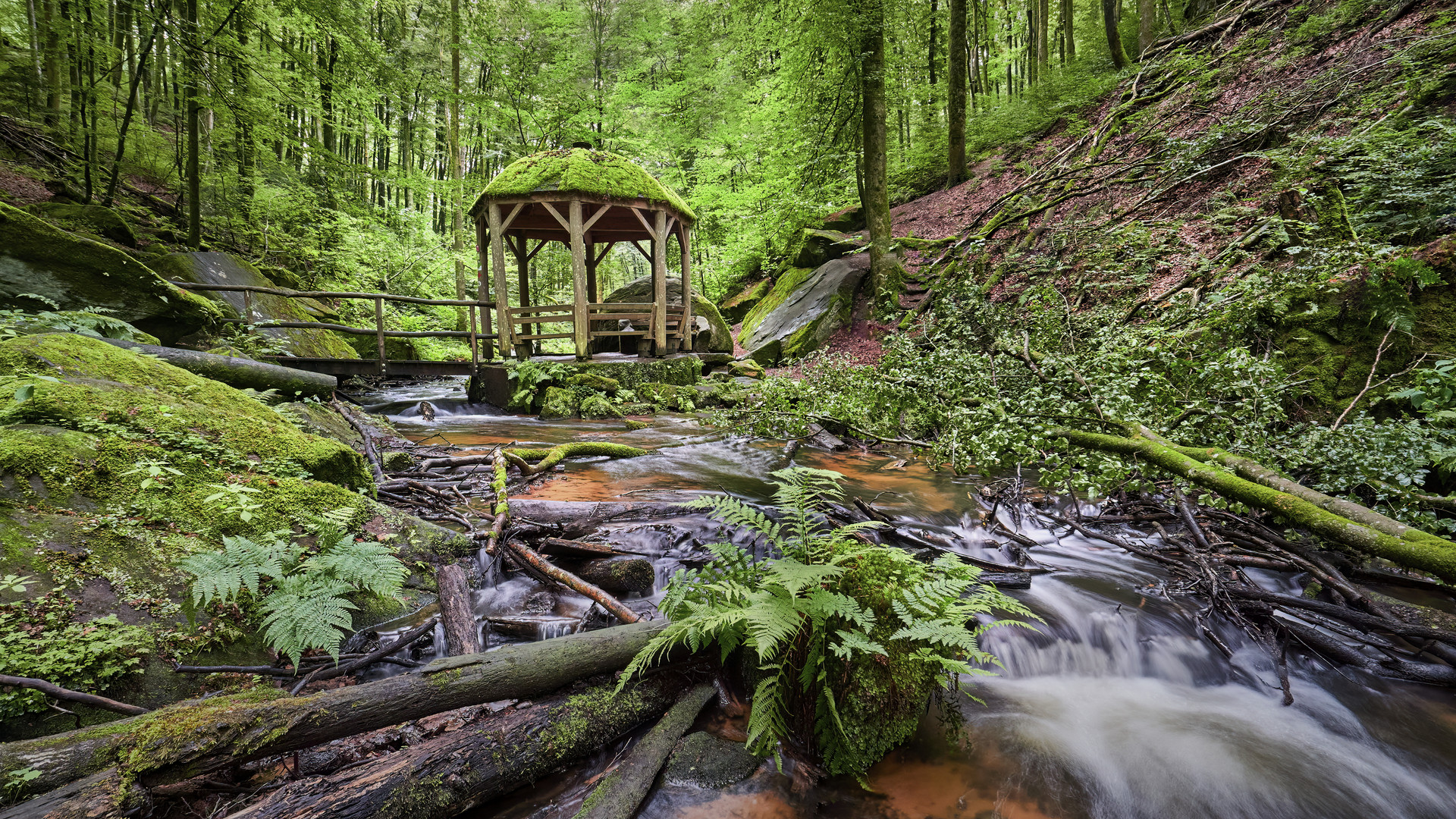 Karlstalschlucht | Pfälzerwald