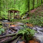 Karlstalschlucht | Pfälzerwald