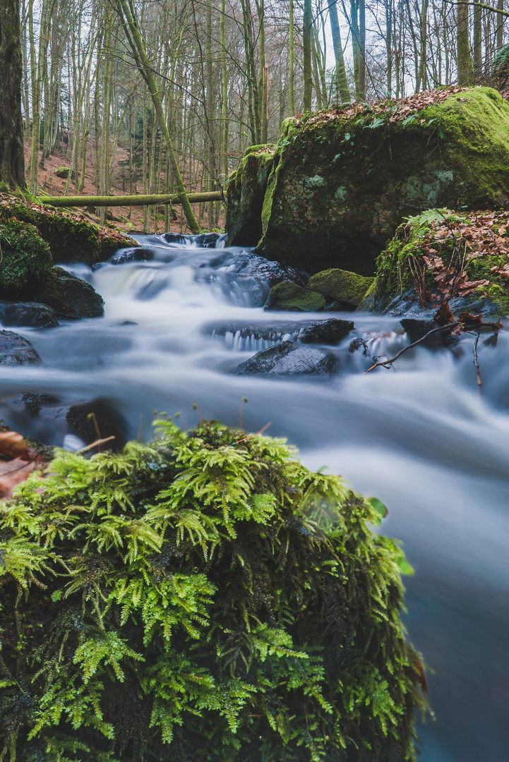 Karlstalschlucht Pfälzerwald