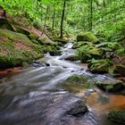 Karlstalschlucht | Pfälzerwald