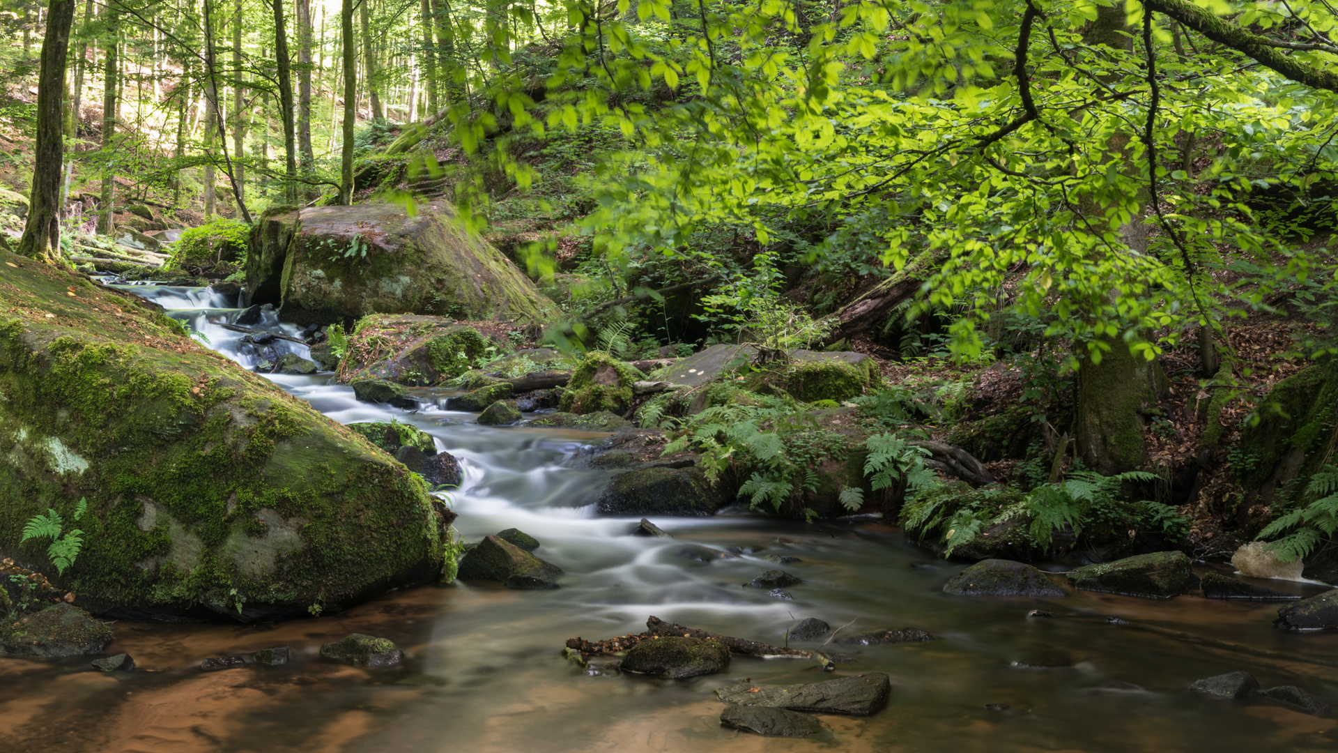 Karlstalschlucht Rheinland-Pfalz