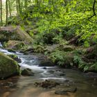 Karlstalschlucht Rheinland-Pfalz